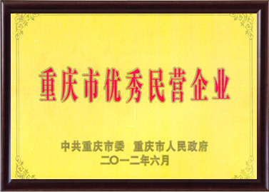 重慶市優(yōu)秀民營(yíng)企業(yè)