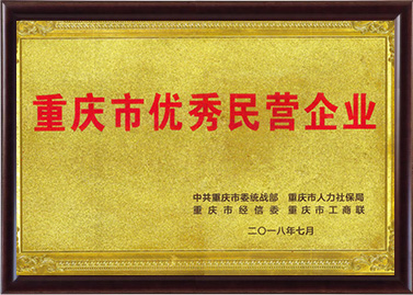 重慶市優(yōu)秀民營(yíng)企業(yè)