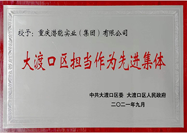 大渡口區擔當作為先進集體
