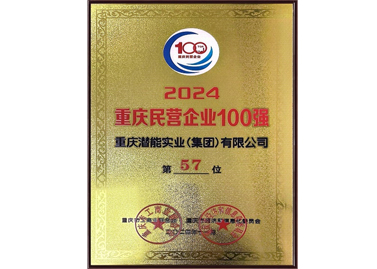 重慶民營(yíng)企業(yè)100強(qiáng)