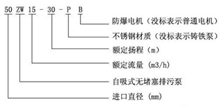 大東海泵業zw泵型號意義