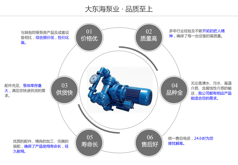 大東海泵業電動隔膜泵質量保證圖