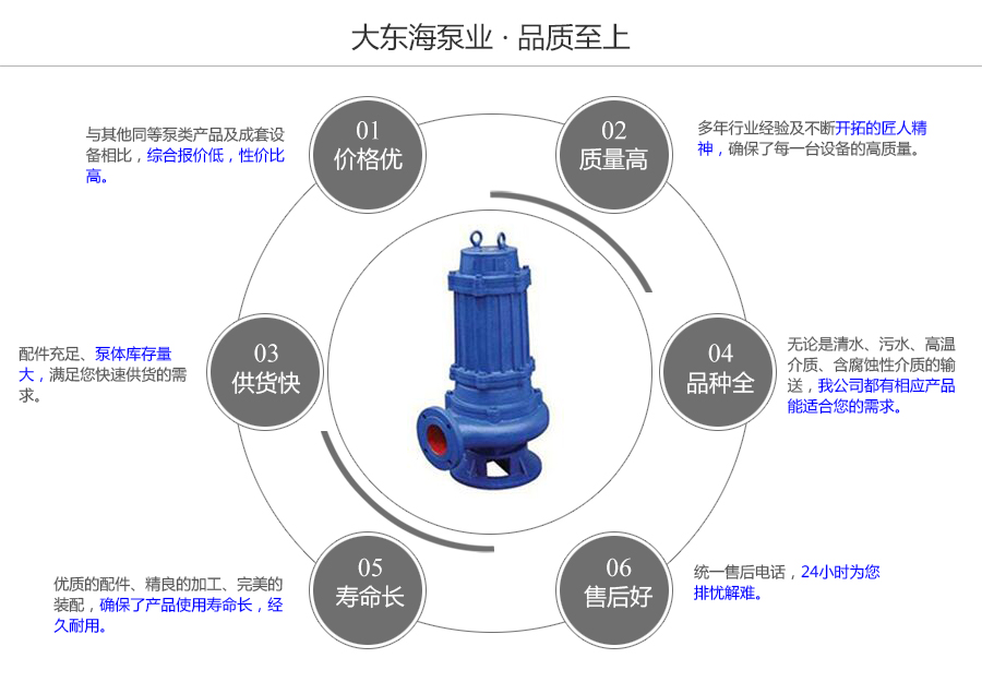 大東海泵業QW型污水提升泵質量保證圖